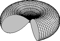 pinched torus